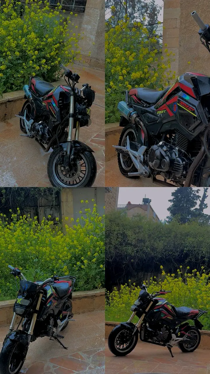 موتور هوندا فرخ البطح