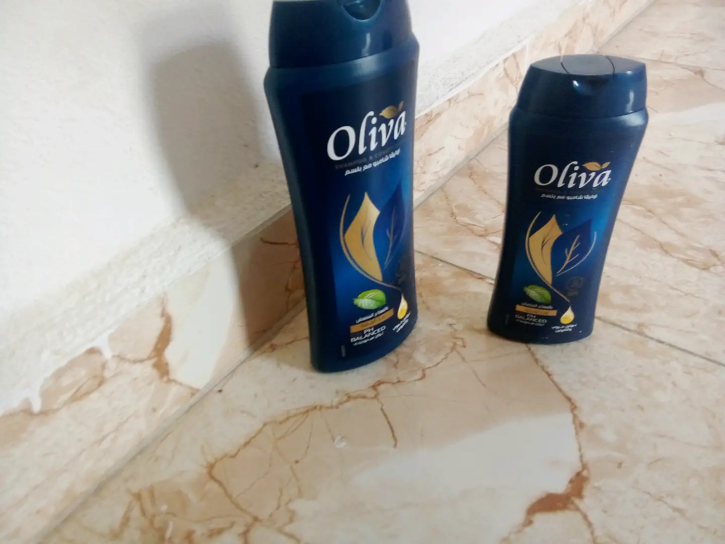عن شامبوOliva