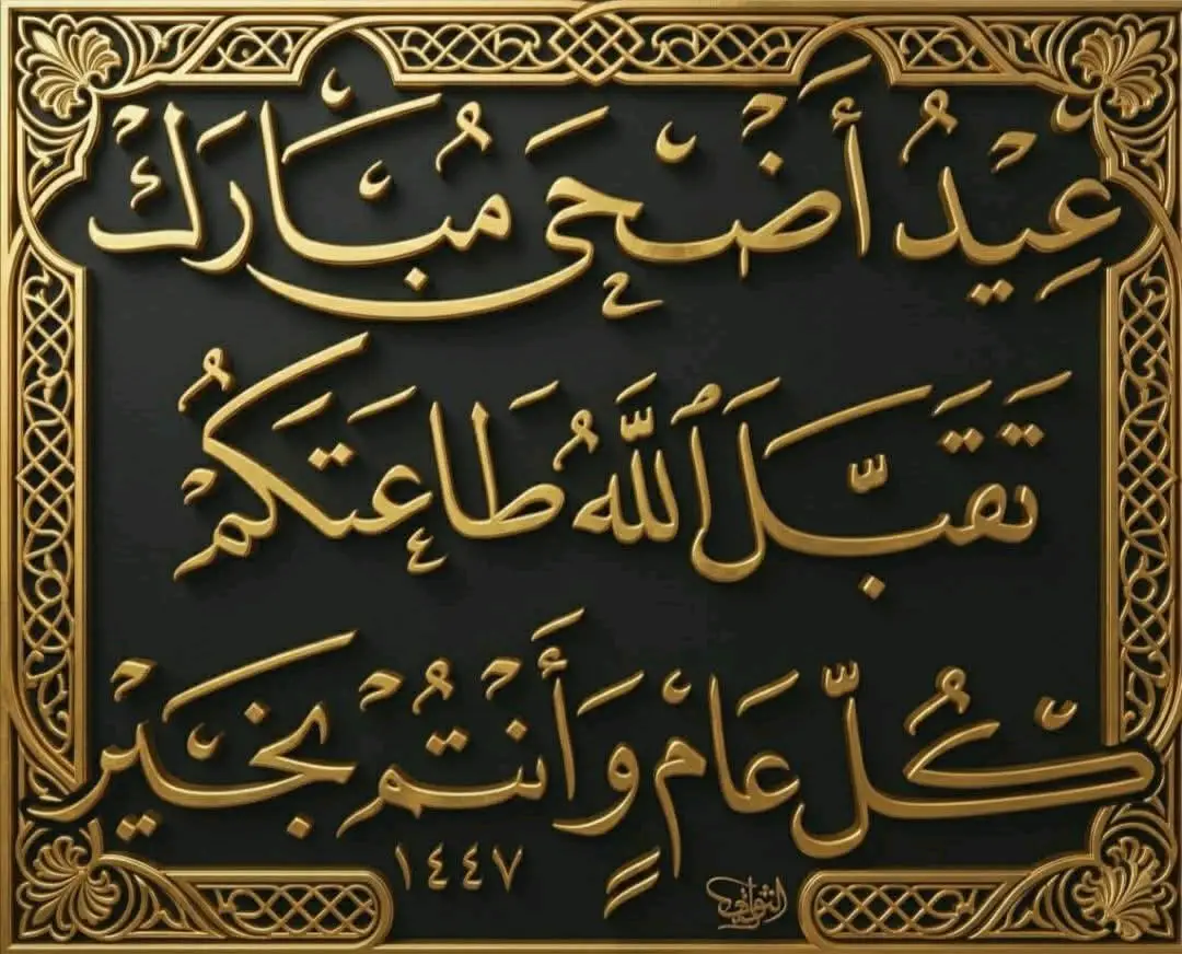 مطلوب شغل بعدرا البلد