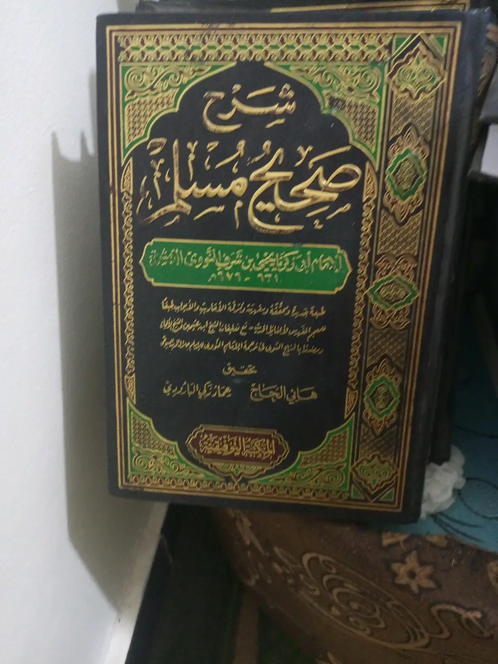 شرح صحيح مسلم