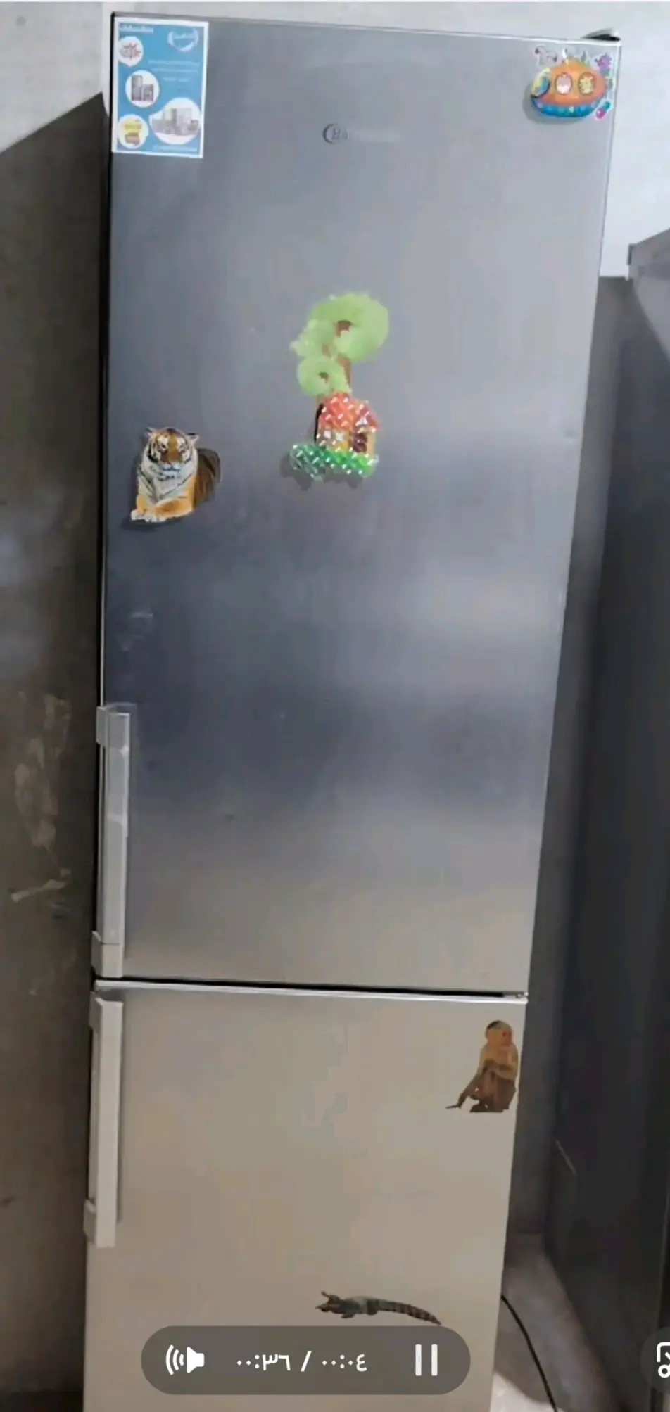 براد أوروبي فضي